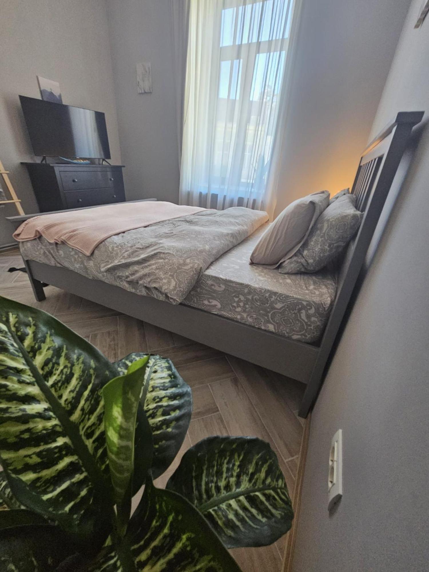 Zig Zag Apartment 4- Old Town Constanţa Extérieur photo